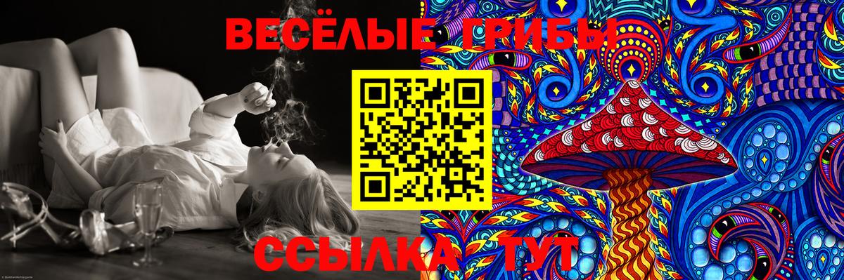 Кириши  Галлюциногенные грибы Psilocybe  Вход с VPN 